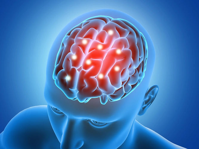 3D illustration of human brain showing neural activity and dopamine pathways